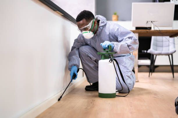 Best Real Estate Pest Inspections  in Meadowbrook, AL